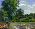Enten auf dem Teich in Montfoucault Camille Pissarro